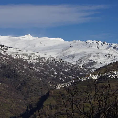 Moraima