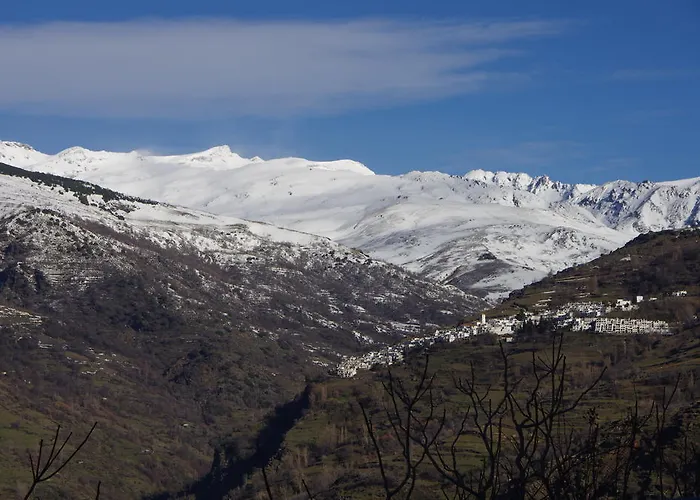 Moraima