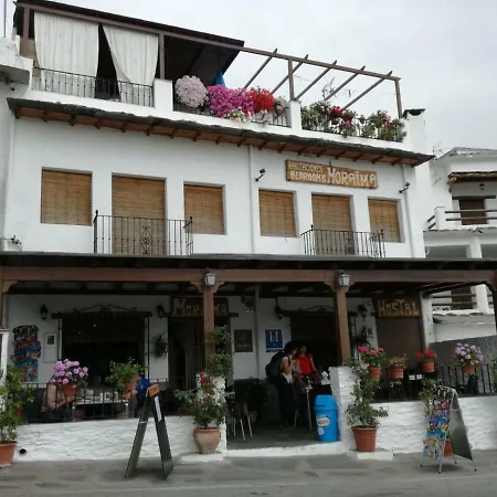 بيت شباب Moraima